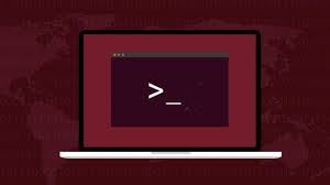 Yazılımcılar İçin 7 Temel Linux Komutu: Terminal Artık Korkunç Değil